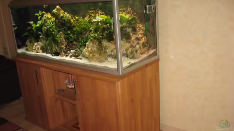 Aquarium Akva-Stabil EffectLine silber von Maik Beckmann (3)