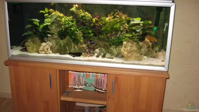 Aquarium Akva-Stabil EffectLine silber von Maik Beckmann (6)