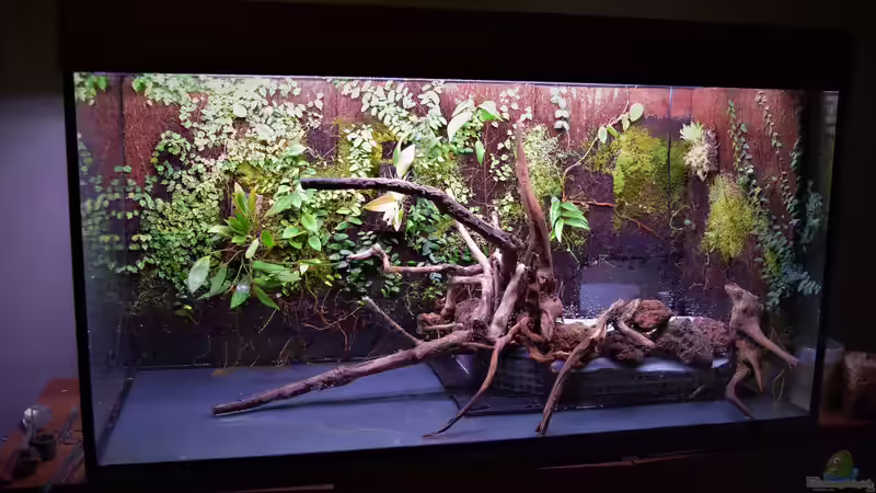 Aquarium Along the riverside ... Gibt's so nicht mehr von Junglist (2)