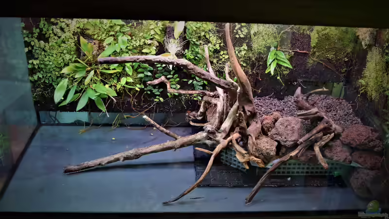 Aquarium Along the riverside ... Gibt&#039;s so nicht mehr von Junglist (3)