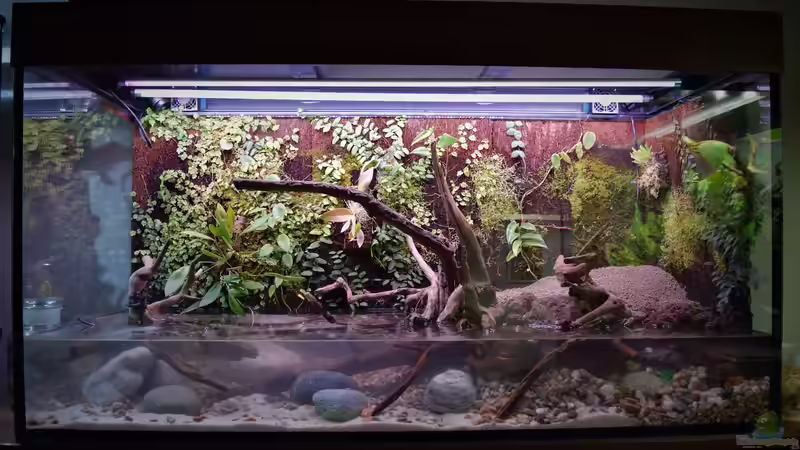 Aquarium Along the riverside ... Gibt's so nicht mehr von Junglist (4)