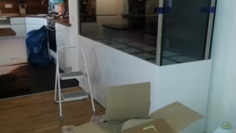 Aquarium Altum von Dani B (4)