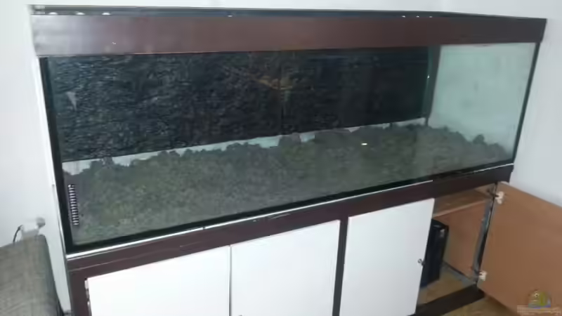 Aquarium Altum Wurzelbiotop von Der Fischer (16)