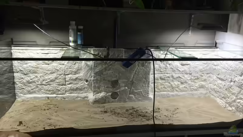 Aquarium ALTUMIA von Polski (6)