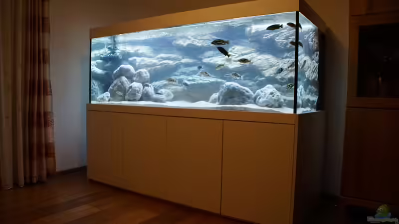 Aquarium am 25.10.2018 von Tom (2)