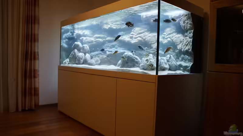 Aquarium am 25.10.2018 von Tom (3)