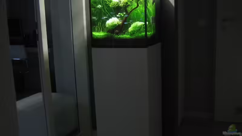 Aquarium am 26.11.2010 von AquaTropica CGN (5)