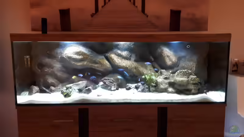 Aquarium am Anfang von Malawi22 (14)