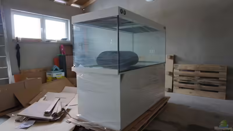 Aquarium am Tag der Lieferung von andreas32 (3)