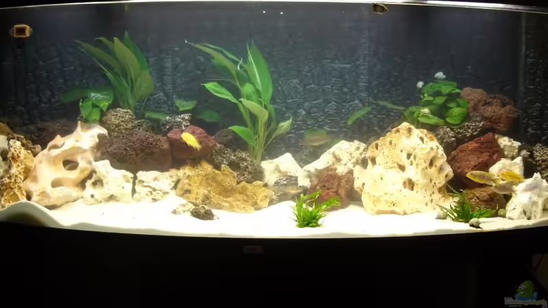 Aquarium am Tage von Florian Schweers (1)