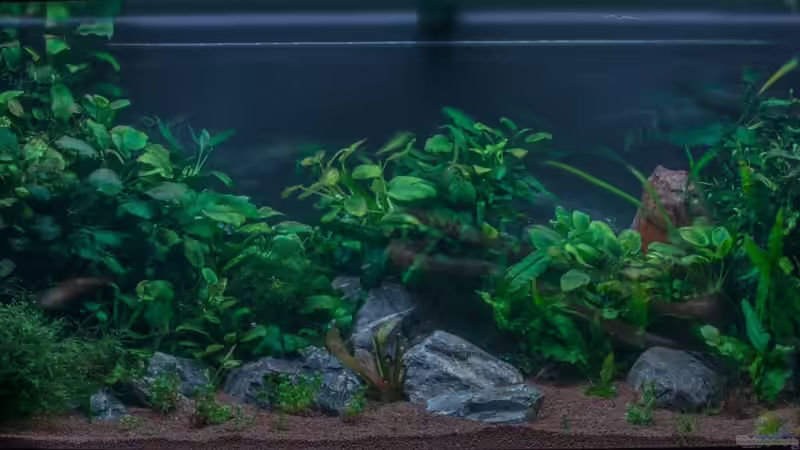 Aquarium Am Ufer von Burkhard Zager (10)