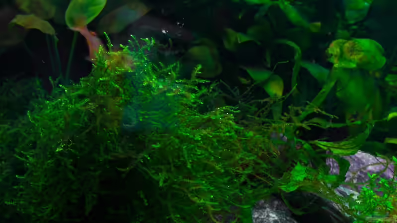 Aquarium Am Ufer von Burkhard Zager (12)