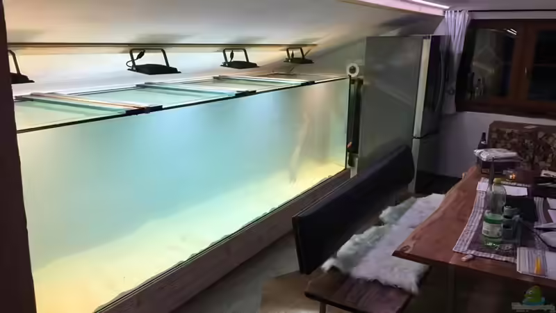 Aquarium Amazonas 4500l von Fritz Gartner (11)