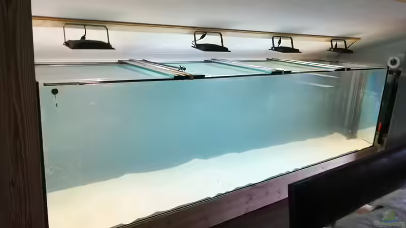 Aquarium Amazonas 4500l von Fritz Gartner (12)