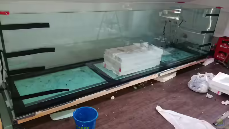 Aquarium Amazonas 4500l von Fritz Gartner (15)