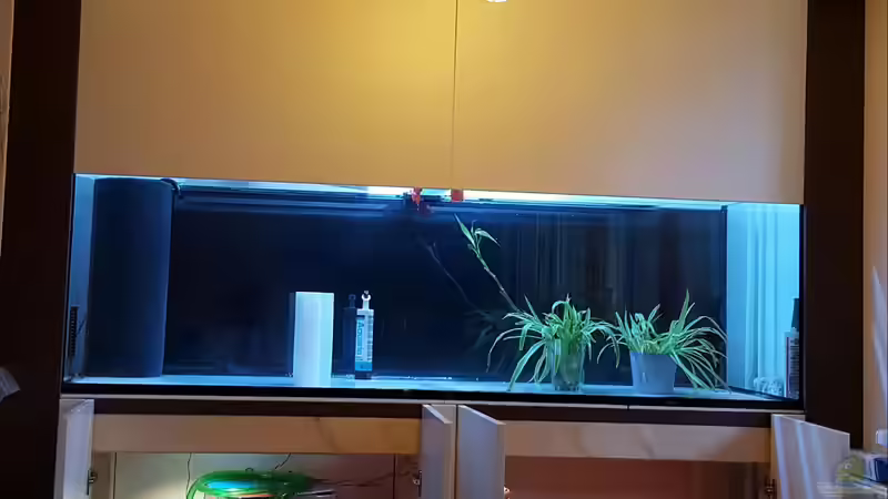 Aquarium Amazonas klarwasser Nebenfluss (nur noch als Beisp von Südamerika Aquanaut (13)