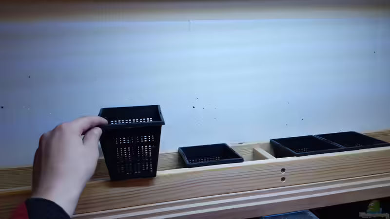 Aquarium Amazonas klarwasser Nebenfluss (nur noch als Beisp von Südamerika Aquanaut (14)