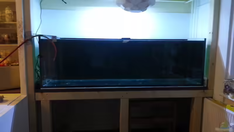 Aquarium Amazonas klarwasser Nebenfluss (nur noch als Beisp von Südamerika Aquanaut (18)