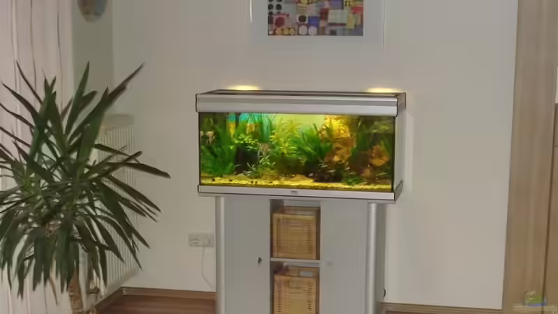 Aquarium Amazonas von Chris 81 (4)