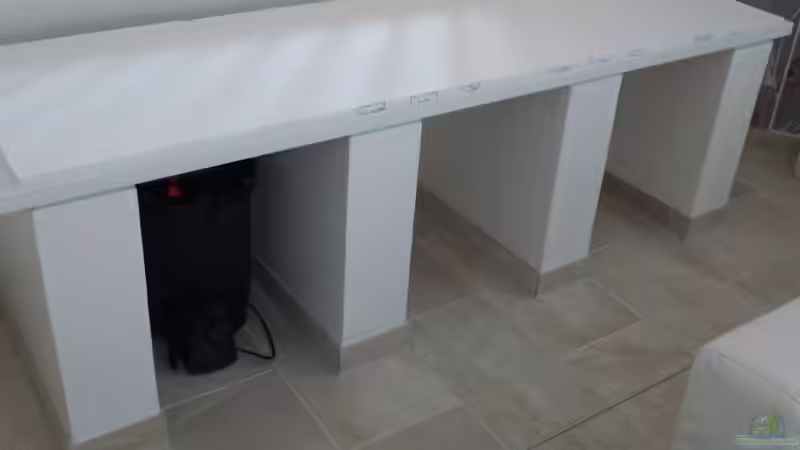 Aquarium Amazonas von master-marko (3)