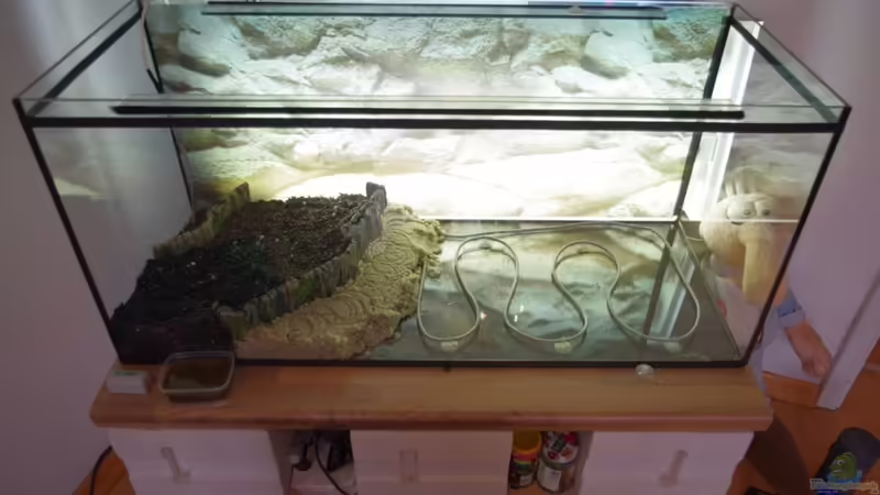 Aquarium Amazonasbecken von Richiiii (2)