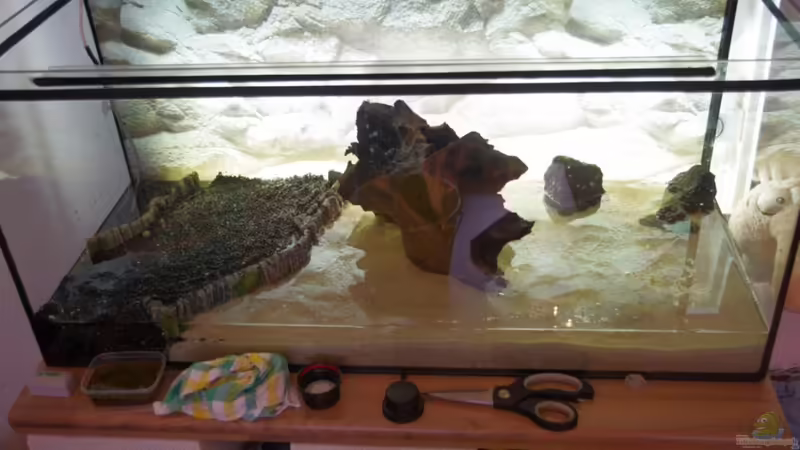 Aquarium Amazonasbecken von Richiiii (3)