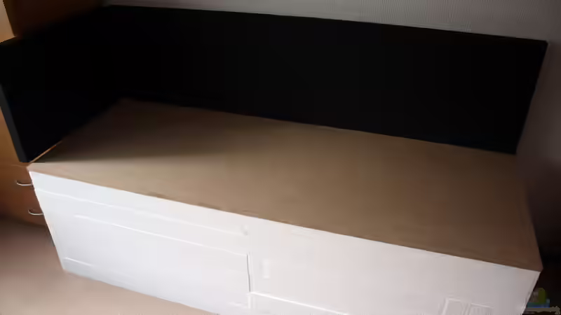 Aquarium Amazonasufer von AmazonasFelix (2)