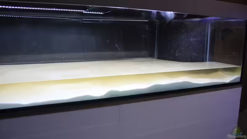 Aquarium Amazonasufer von AmazonasFelix (3)