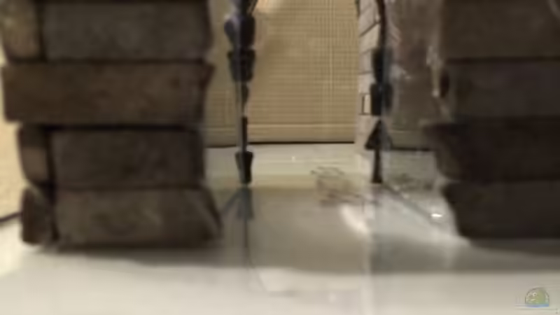 Aquarium &quot;Kindheitstraum&quot; von Tulpenknicker (3)