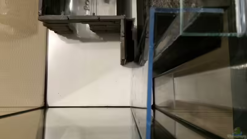 Aquarium &quot;Kindheitstraum&quot; von Tulpenknicker (4)