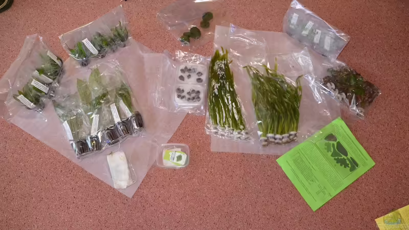 Aquarium &quot;the green one&quot; von Der Küstenjunge (10)