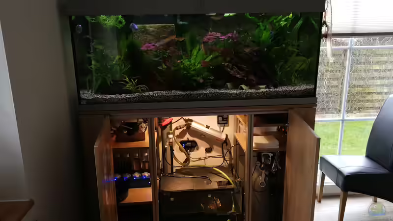 Aquarium &quot;the green one&quot; von Der Küstenjunge (3)