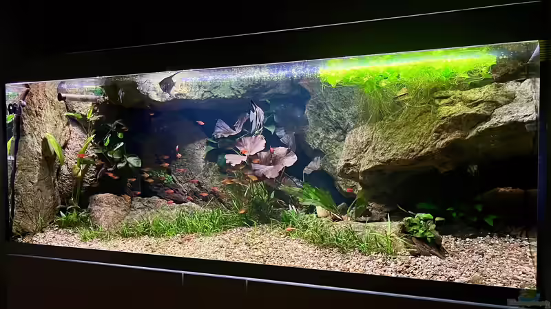 Aquarium Andrews Dream von André Sidler (2)