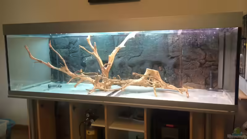 Aquarium Angels Place ... von Marcus Lucke (4)