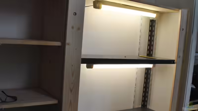 Aquarium Anlage mit 3 60 l Becken von stefan1979 (2)