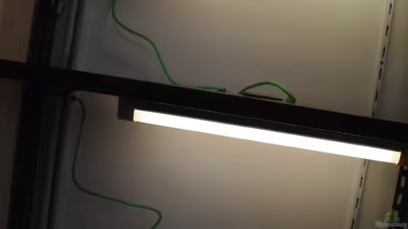 Aquarium Anlage mit 3 60 l Becken von stefan1979 (3)