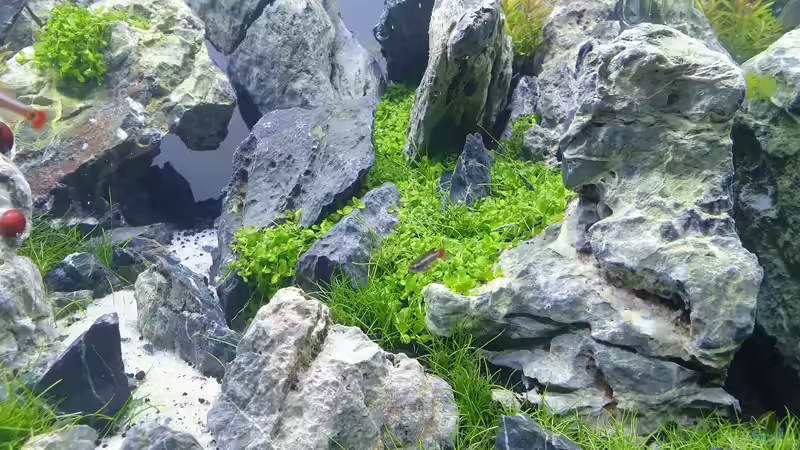 Aquarium Another World von similis (11)