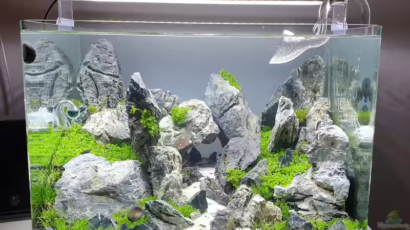 Aquarium Another World von similis (13)