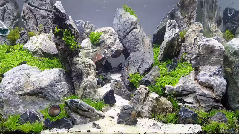 Aquarium Another World von similis (15)