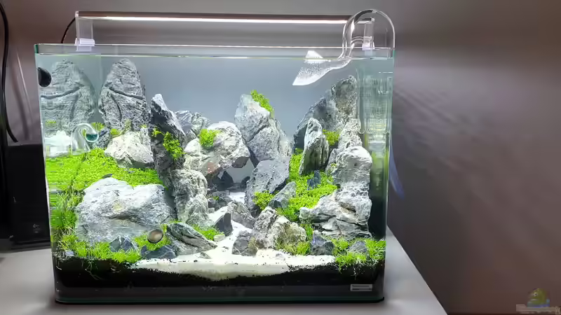 Aquarium Another World von similis (16)