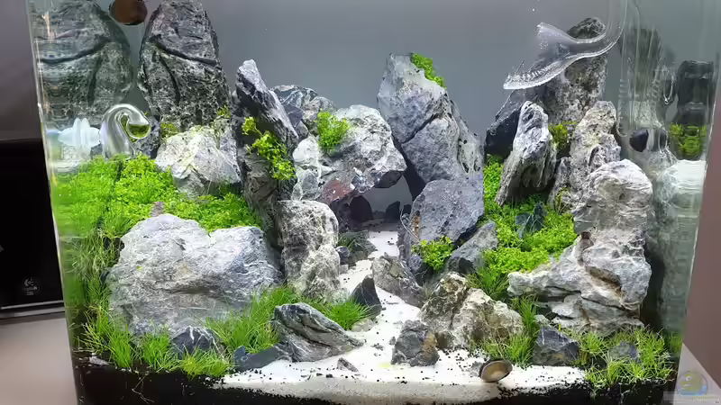 Aquarium Another World von similis (18)