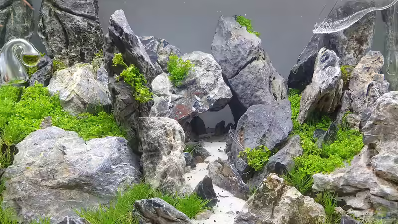 Aquarium Another World von similis (20)