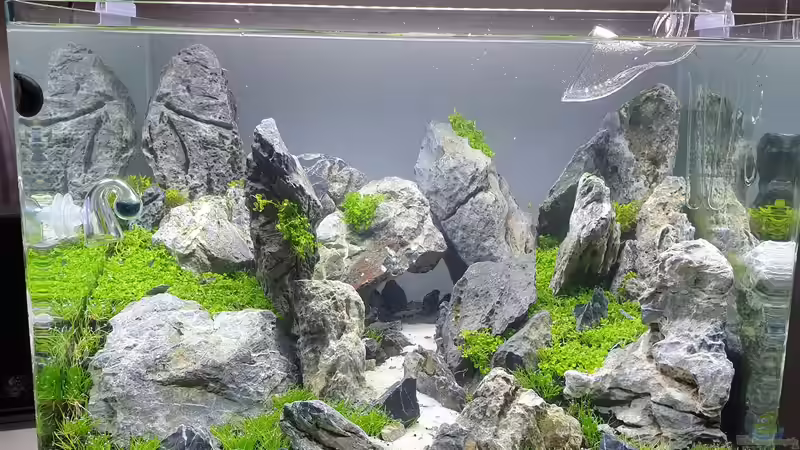 Aquarium Another World von similis (21)