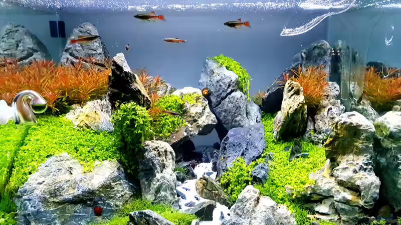 Aquarium Another World von similis (22)