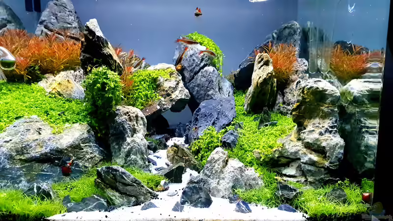 Aquarium Another World von similis (23)