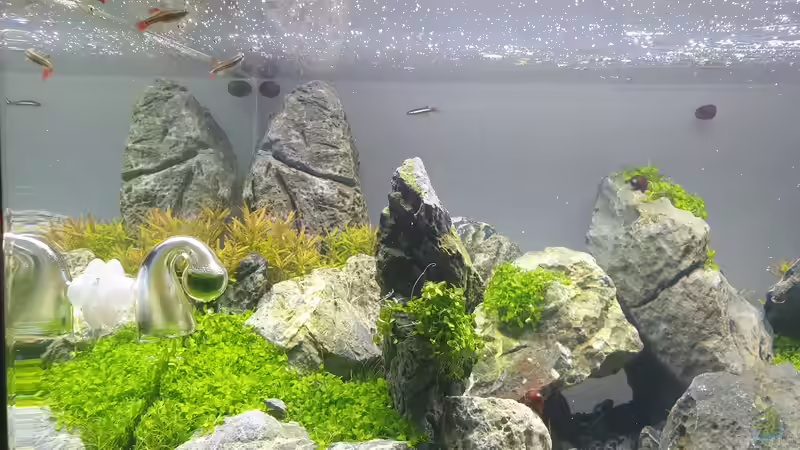 Aquarium Another World von similis (9)