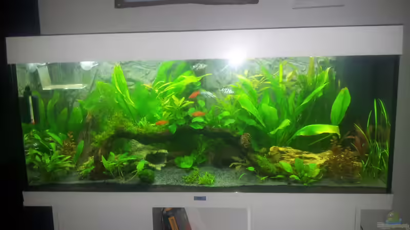 Aquarium Aqua Art von Nixe1991 (6)