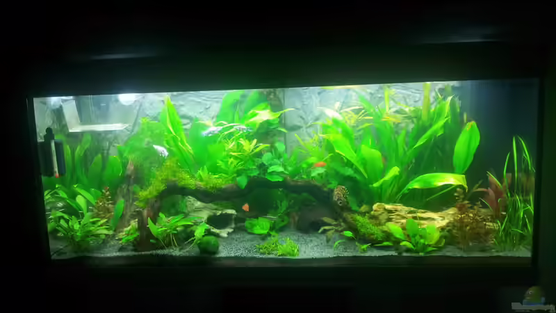 Aquarium Aqua Art von Nixe1991 (8)