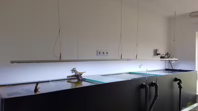 Aquarium AquaRio von Ben yamin (4)