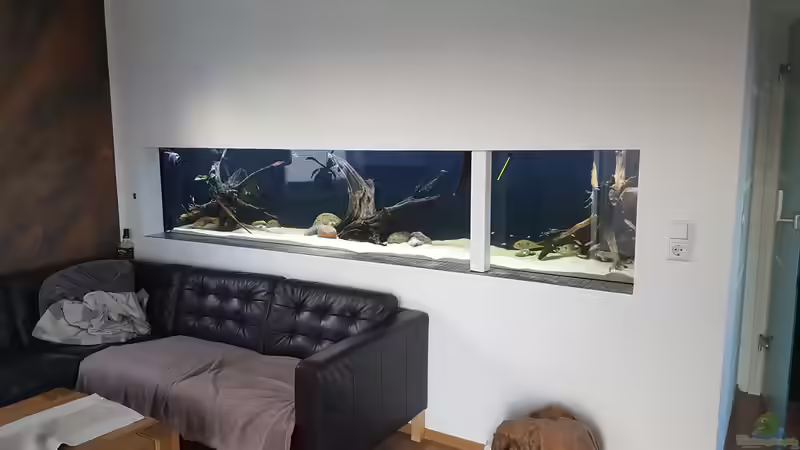 Aquarium AquaRio von Ben yamin (5)